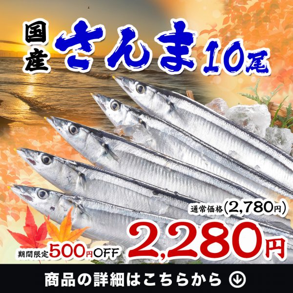 ✨新商品✨『国産さんま10尾』8/26 23:59まで お試し500円OFF‼️