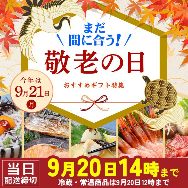 【お急ぎください】敬老の日当日お届けにまだ間に合う🏃‍♂️‼️14時までのご注文で即日発送🚚💨