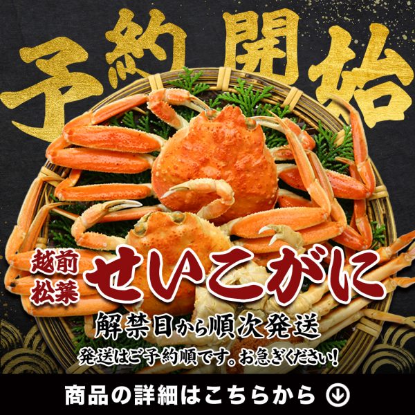 🦀今年もやります🦀毎年恒例『越前松葉せいこがに』の予約受付スタート‼️今なら早割500円OFF✨